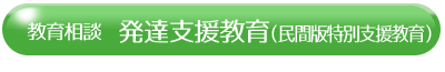 発達支援教育（民間版特別支援教育）